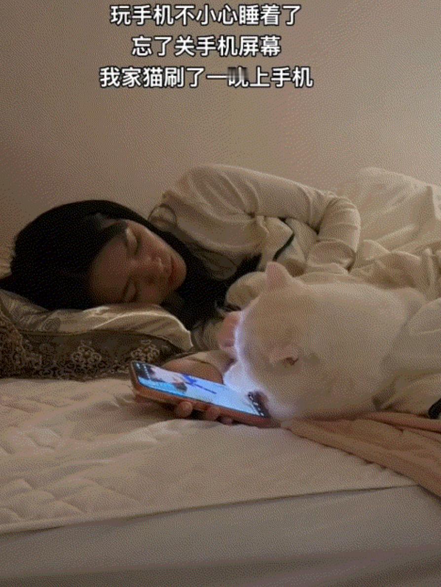 太有灵性了！广东一女子躺床上玩手机，玩着玩着睡着了，结果，她养的猫咪却爬上了床，