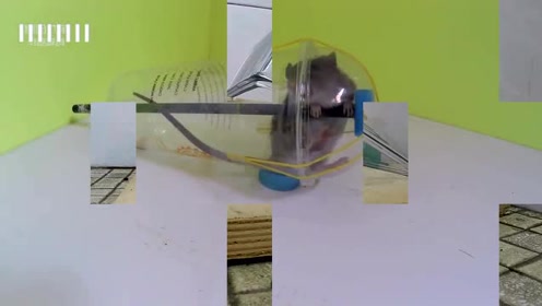 13568134357498189572.jpg?id=0