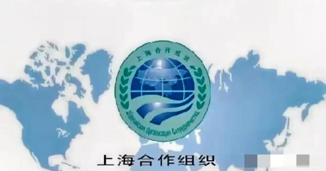 伊朗你上就是了，怕什么怕，上合组织给你兜底！上合组织名义上是贸易组织，但更是一