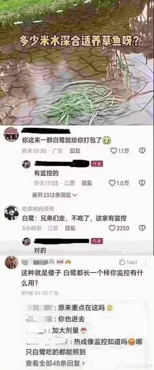 原来有监控啊，差点给我看力竭了