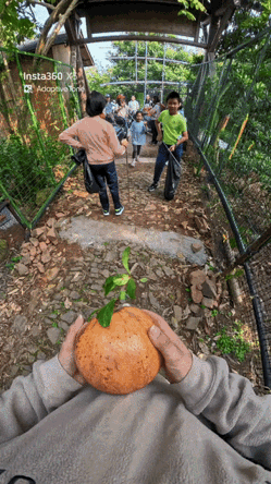 “这下解释不清了！”江苏，一男子在徒步旅游中，捡到了一颗超大的“石榴王”，当男子