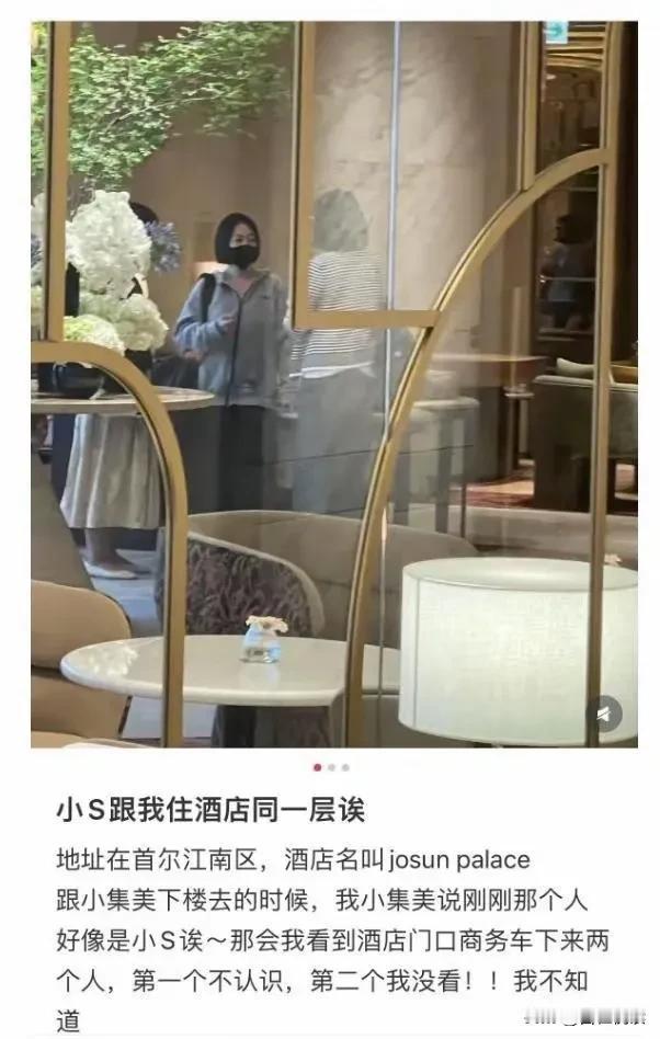 有个事你听说了么真是众说纷纭呢就是小S和具俊晔居然被传出都去泡菜国了