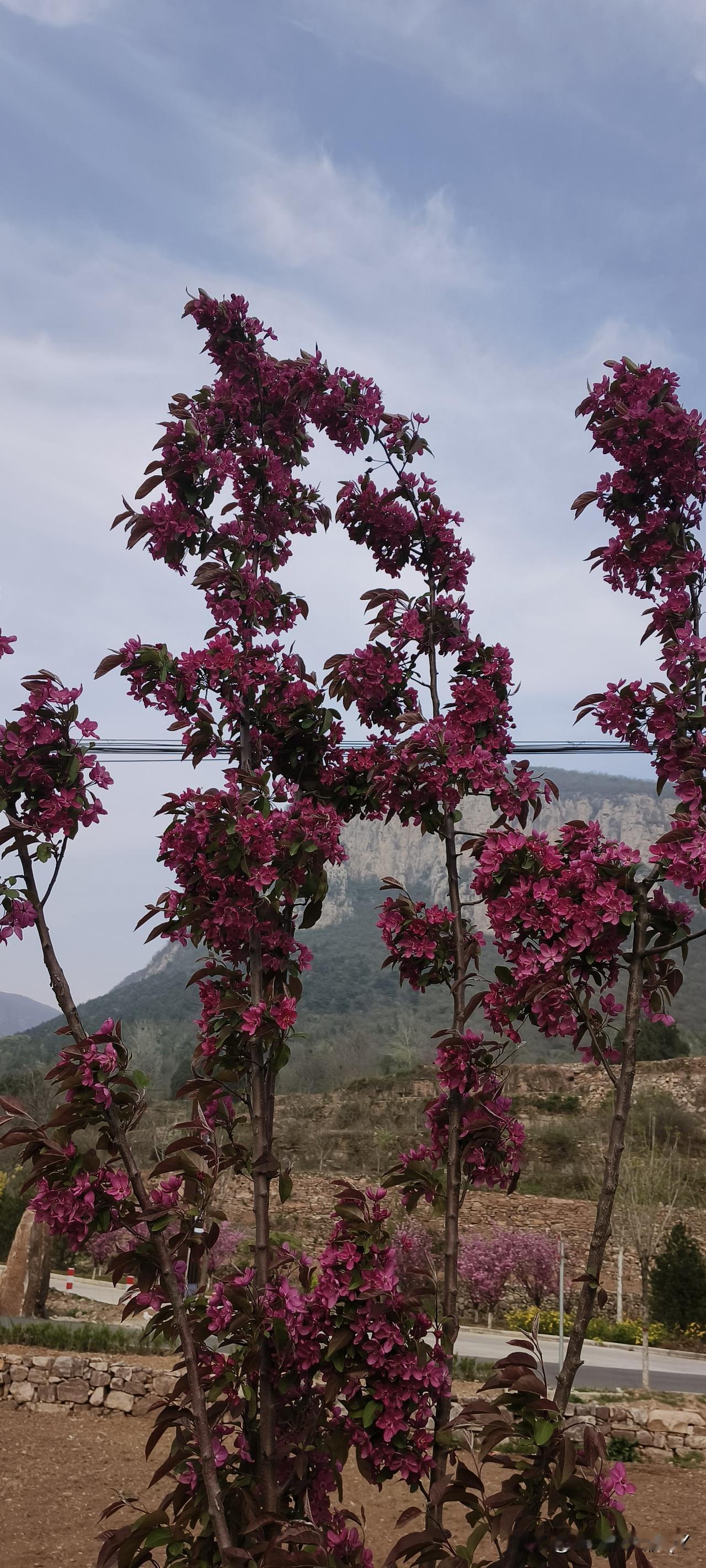 真是误会闹大了有个女子正在家里洗澡，听见敲门声，赶忙穿上睡裙去开门。门一打开，