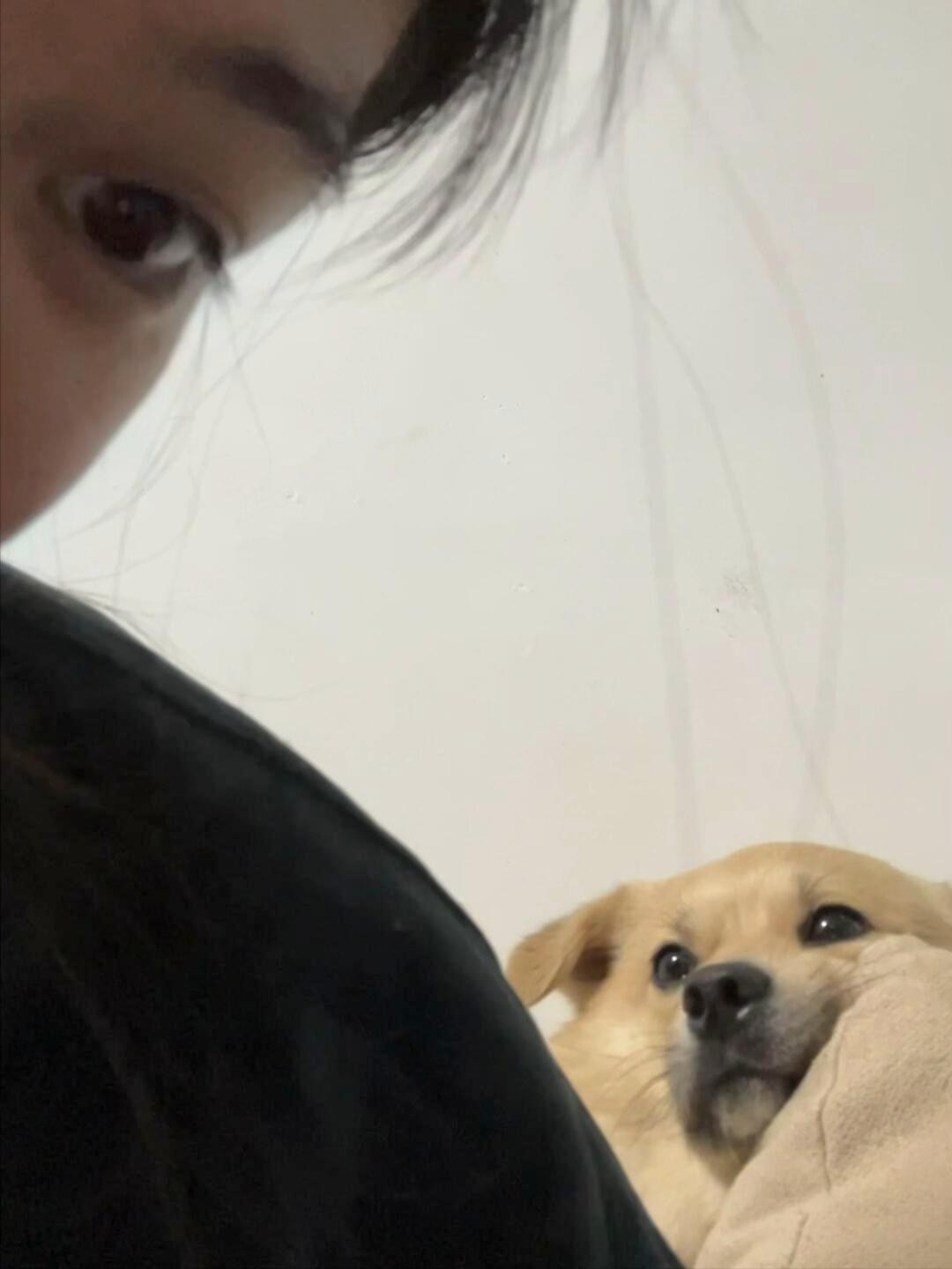 “打开摄像头想看看小狗在我后面干嘛：呜呜呜，眼睛亮亮的看着我，满眼都是我啊啊啊”