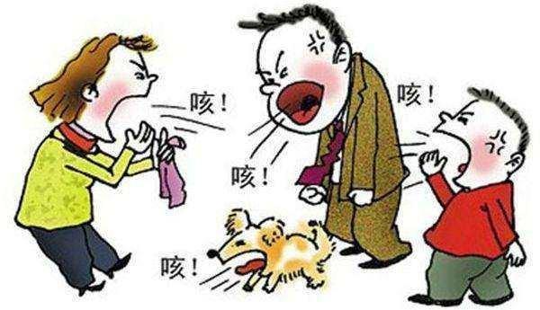 两颗冰糖和它煮, 慢性咽炎再猛, 一喝就好绝不再犯! 良心方子