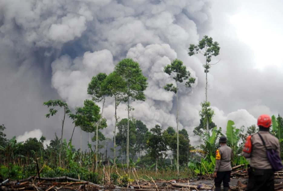 黑死病起源惊天揭秘！竟是一场“幽灵火山”引爆的死亡连锁12月5日消息，新研
