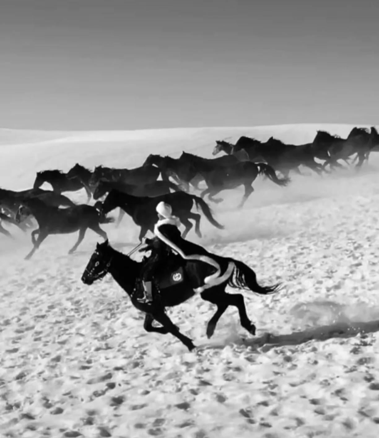 最飒文旅局长离世了，痛别贺娇龙！47岁的她，把生命留在了热爱的新疆土地上2