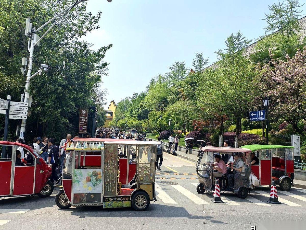 就在鸡鸣寺解放门底下，一溜儿排开八九辆三轮车，司机们也不吆喝，就靠在车上抽烟，眼