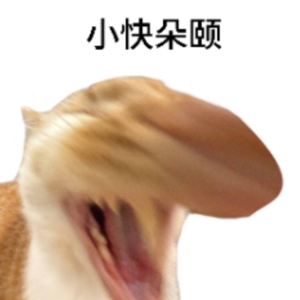 这家面条太好吃了​​​