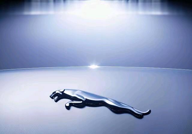 燃油车品牌是一个接一个地告别，这次，轮到那只优雅的豹子了。捷豹正式停了所有燃油