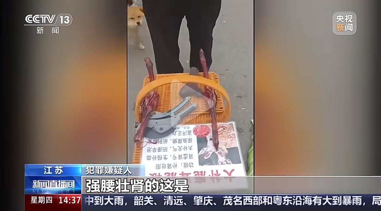 南京一位周大爷逛街时，看到摊贩大肆叫卖鹿茸，宣称只要50元一棵。想着价格实惠，想