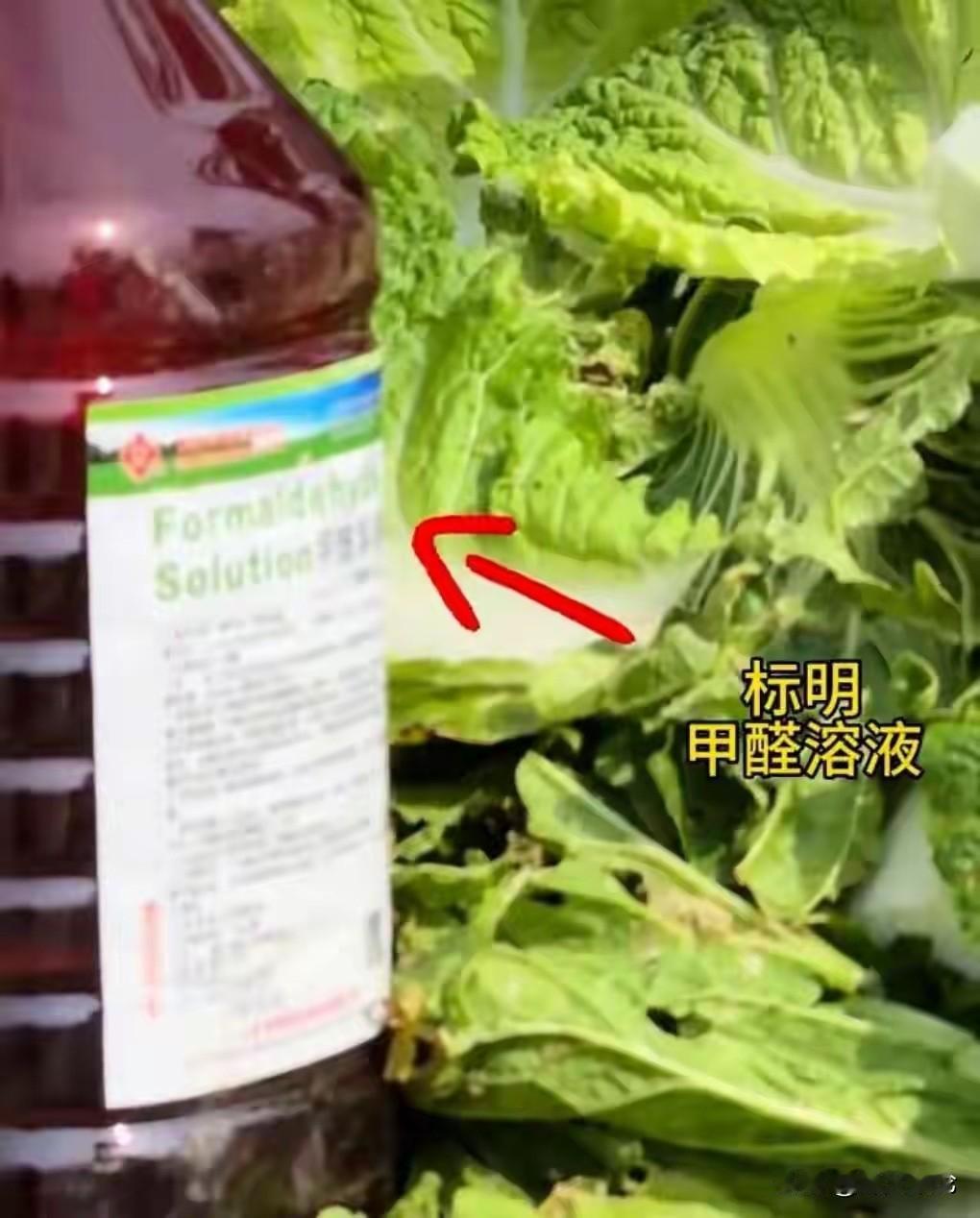 为什么老是出现这种事情？杨梅的事还没过去多久，白菜又出事了还记得吗？当时严
