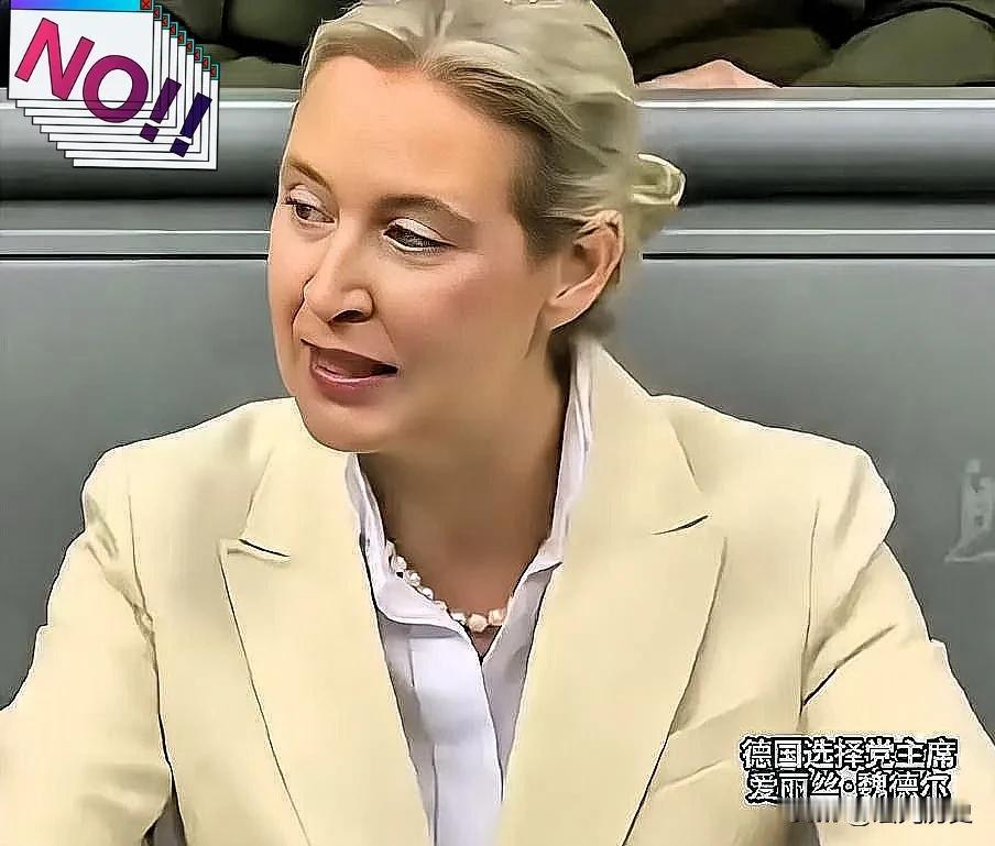 魏德尔在德国议会公开斥责德国总理默茨，“你是个演员，对德国民众说没有钱，转头却要