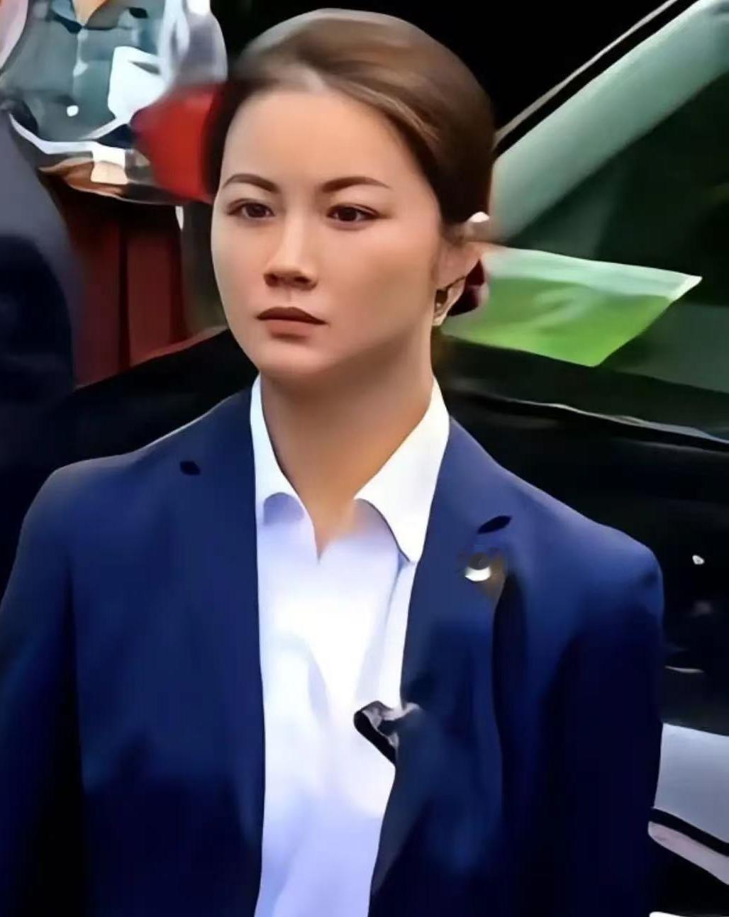 郑丽文从大陆回去后，在节目里絮絮叨叨念想的，居然不是什么大好河山，而是大陆的