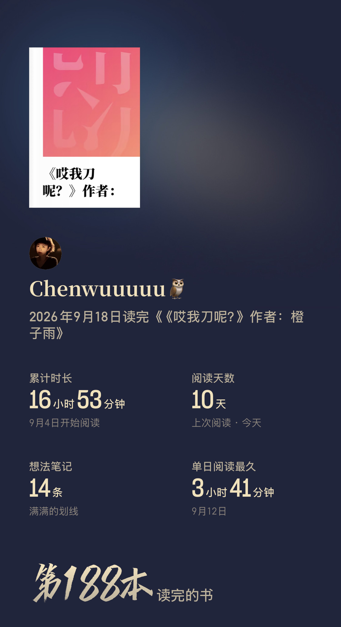 哎我刀呢？一个充满狗血的文，出轨离婚和小三的前男友好上，车祸、胃病、各自小时候的