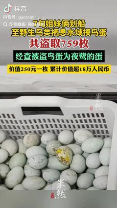 老了也不省心！近日，浙江一对70多岁的老姐妹闲得无聊，偷偷划船到野外水域，摸走了