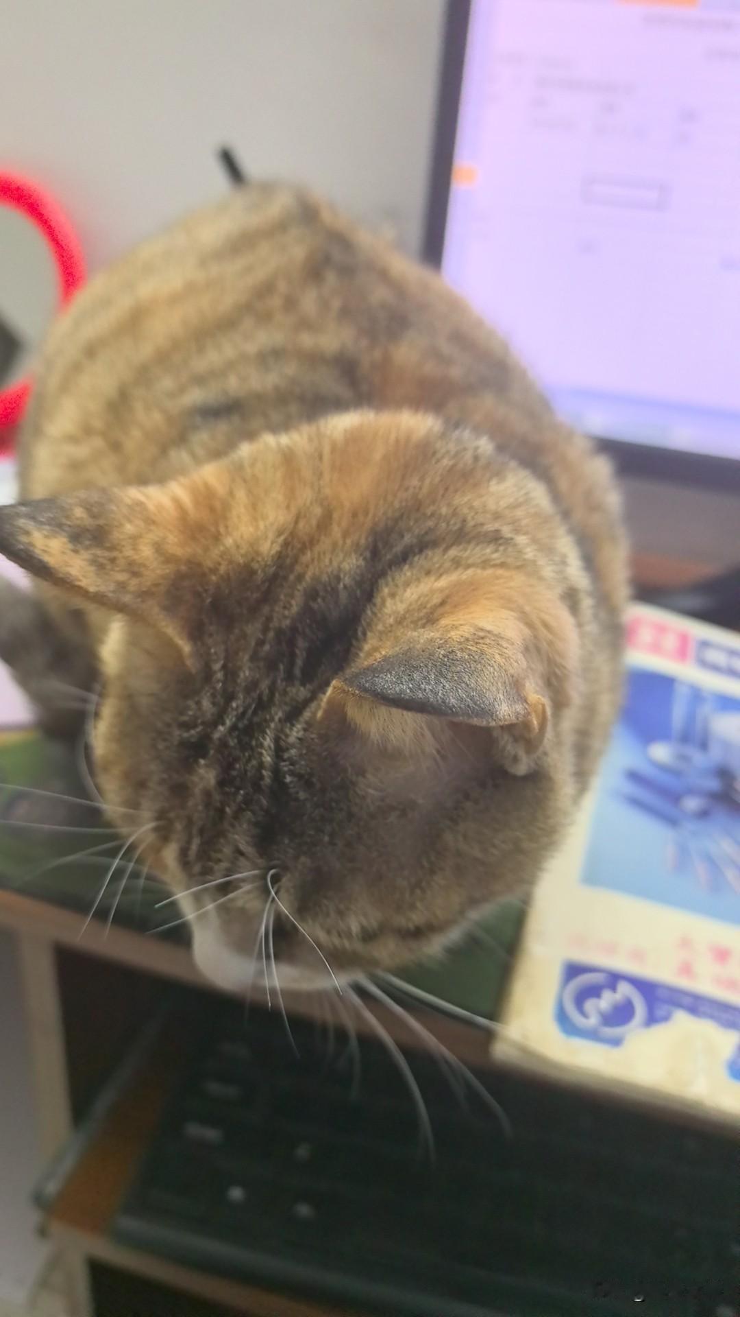 俗话说：有钱人贷款，穷人存钱。还真是，我们村有俩兄弟，弟弟斗大字识一筐，哥哥斗