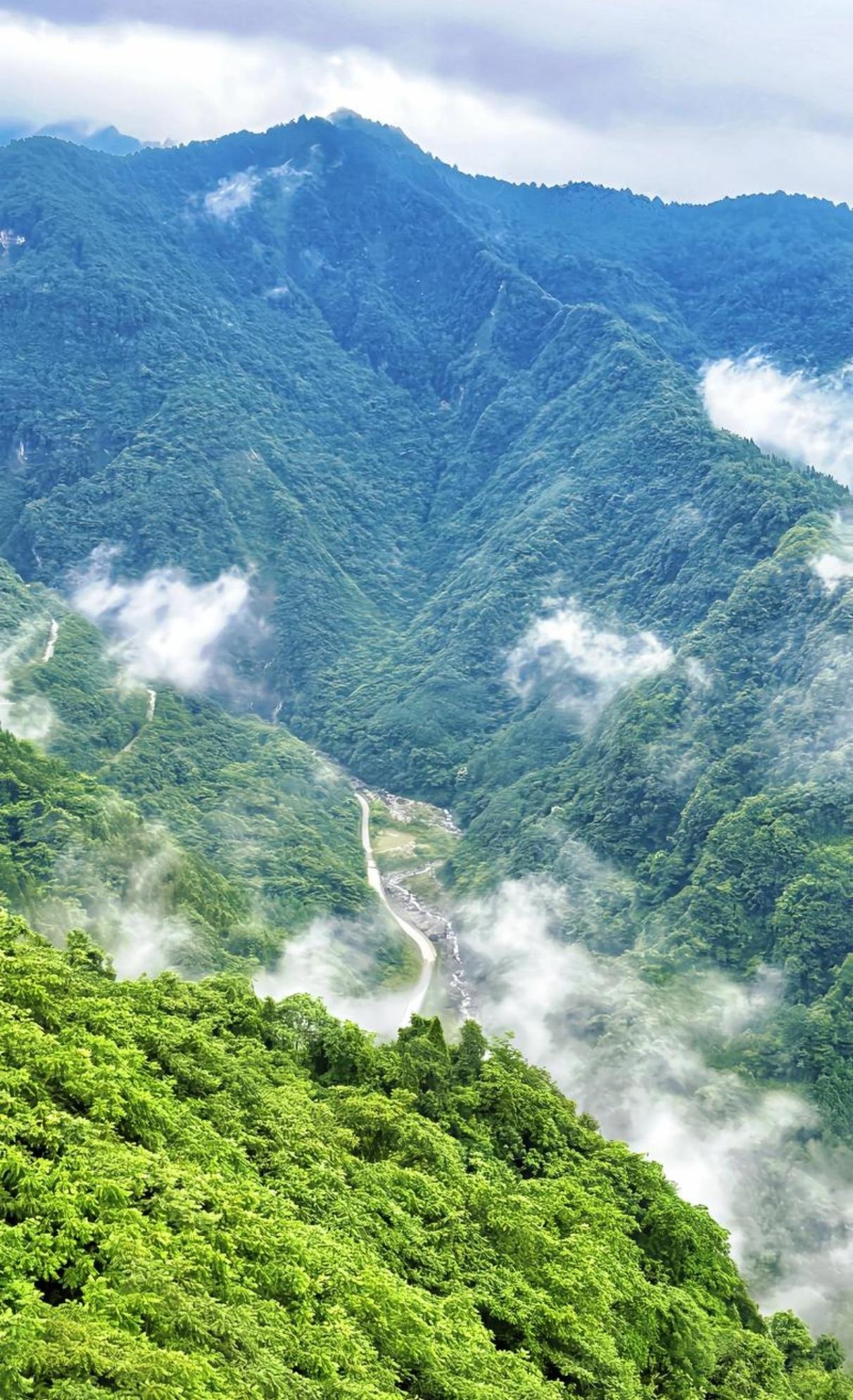 。主峰大雪塘终年积雪，如银龙横卧天际。春有杜鹃漫山，珙桐似鸽；夏飞流泉翠瀑，林