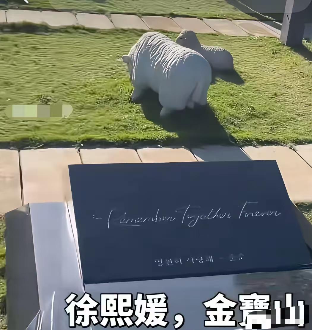 大S的体面，终究在身后彻底碎了。具咋不去了呢，大S在那多冷啊，现在他回国了，大S