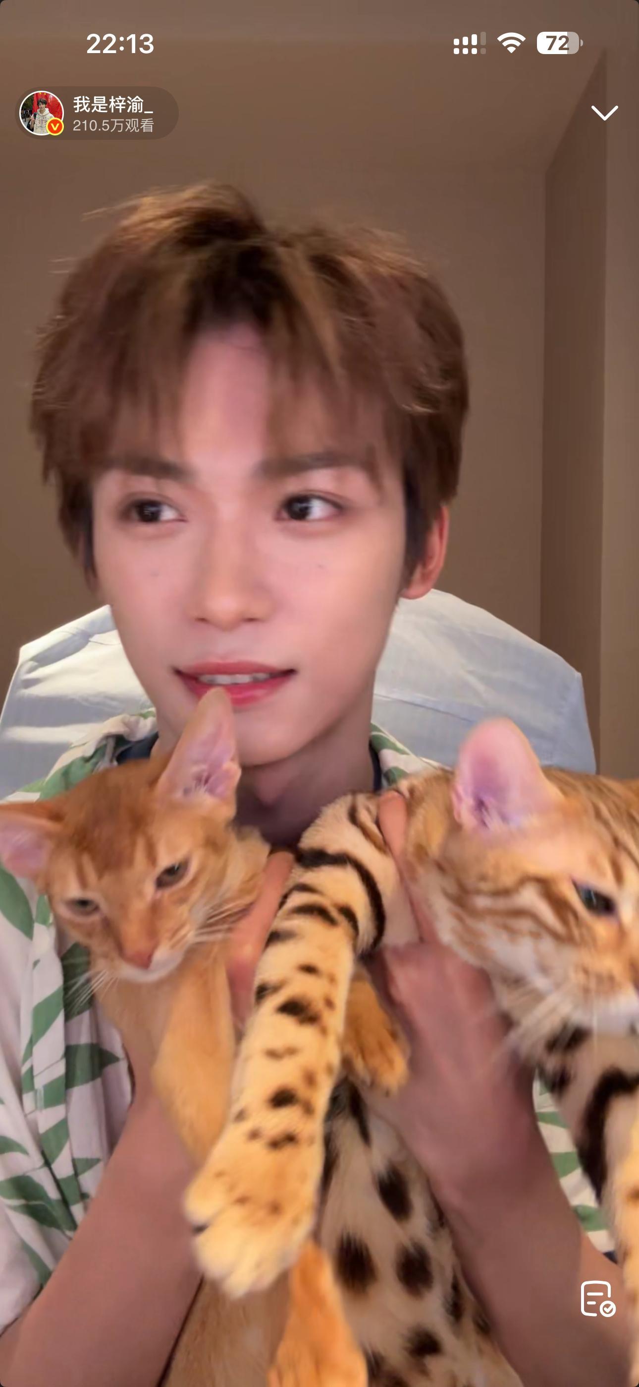 我不行了，三个都好可爱。