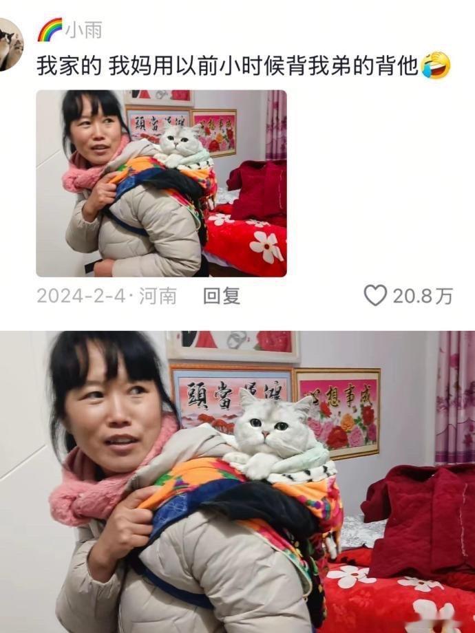 猫：你只管带我回家，剩下的交给我😂