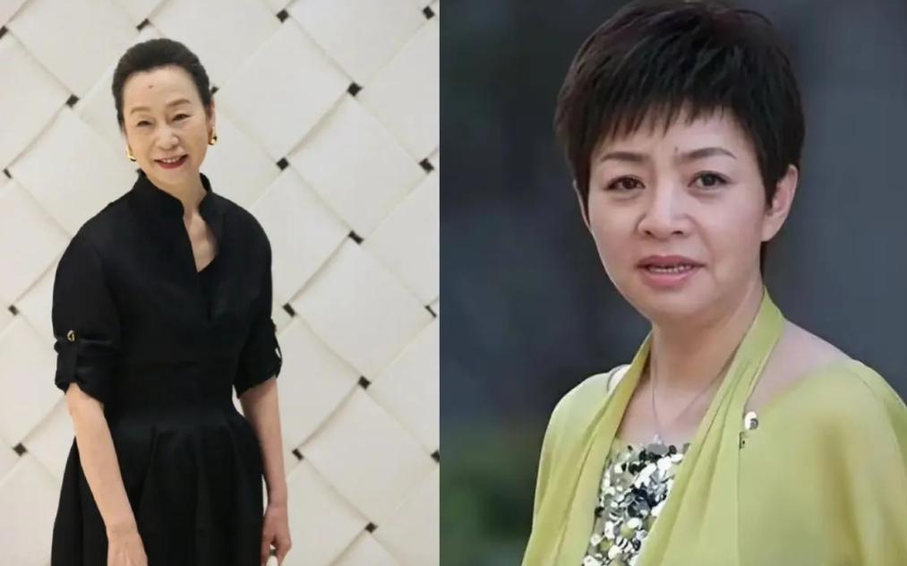 大概奚美娟的事情一出，宋丹丹的含金量估计又要上升了，类似的经历，同样的H内出