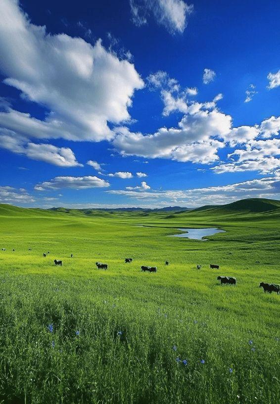 1973年，内蒙古一供销社丢了1400元现金和一支猎枪，警方查了8天一无所获，就