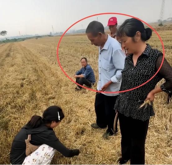 湖北襄阳摊上大事！这场农忙闹剧凉透无数好心人，一对95后夫妻，从河南连夜赶去当地