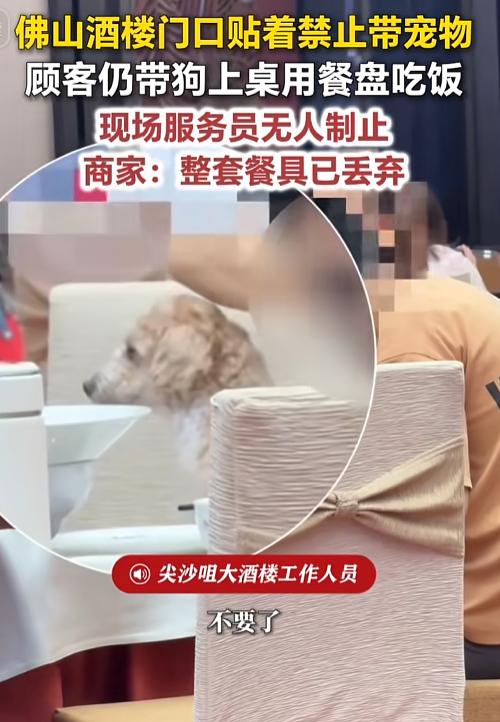 “都说了不让进还进来！”7月31日，佛山尖沙咀大酒楼，门口白纸黑字贴着“禁止带宠