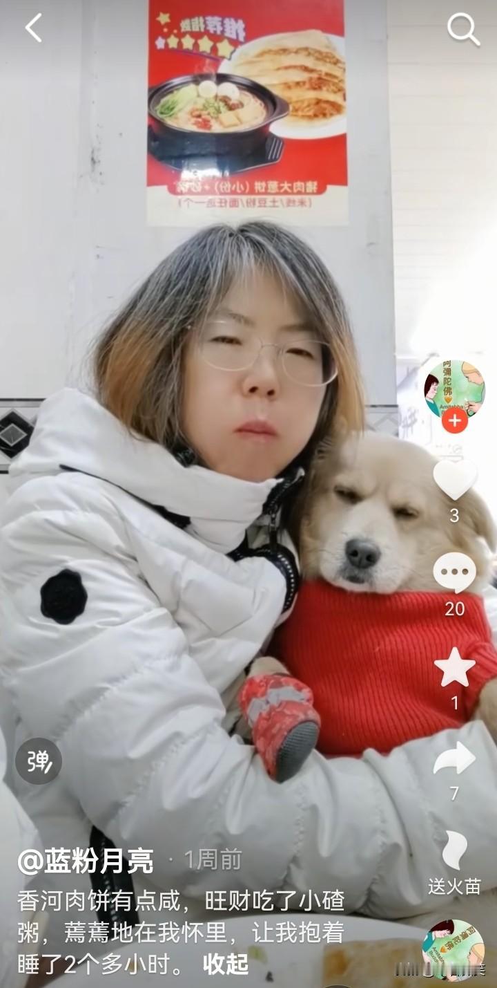 一觉醒来，带狗吃涮肉的女子的天塌了！她没想到自己的“爱狗”行为遭到了网暴，昨天大