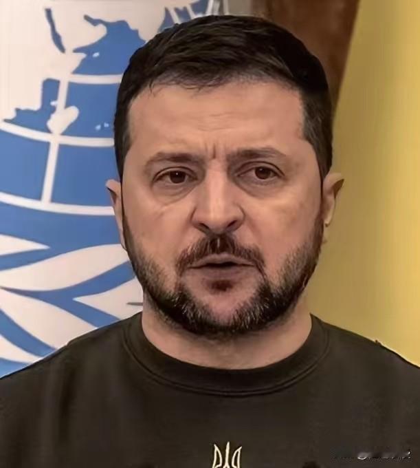 泽连斯基：我还没有看到中国加入和平进程的意愿。相反，他们增加了对俄罗斯能源资源的