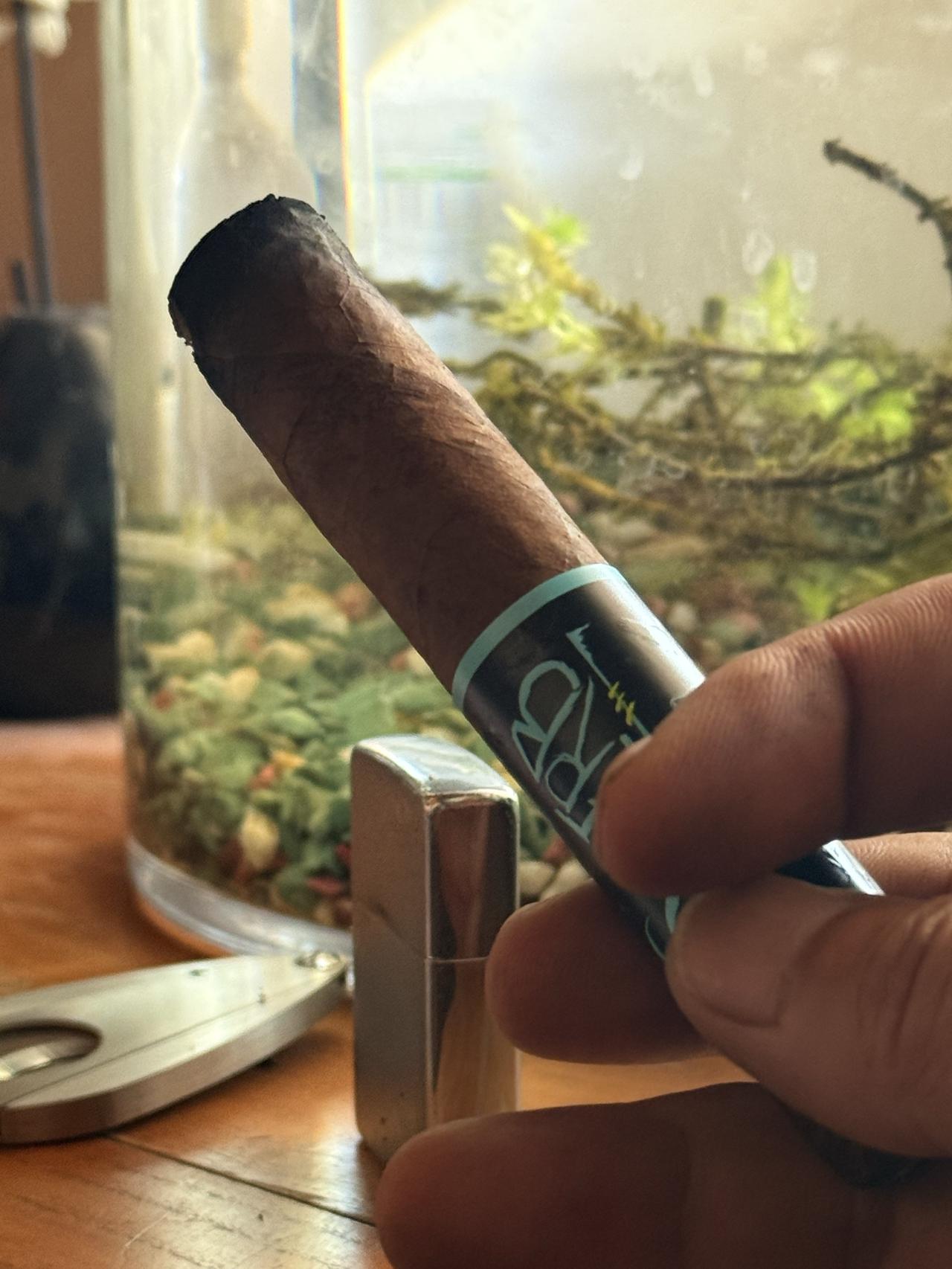 用这根HABANO雪茄的味道标记一下这几天的中美破冰之旅愿世界和平繁荣