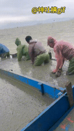 这可不是倒水泥哦～渔民在底播养殖海瓜子苗呢！用泥浆拌苗能保护小苗，帮它们在海里安