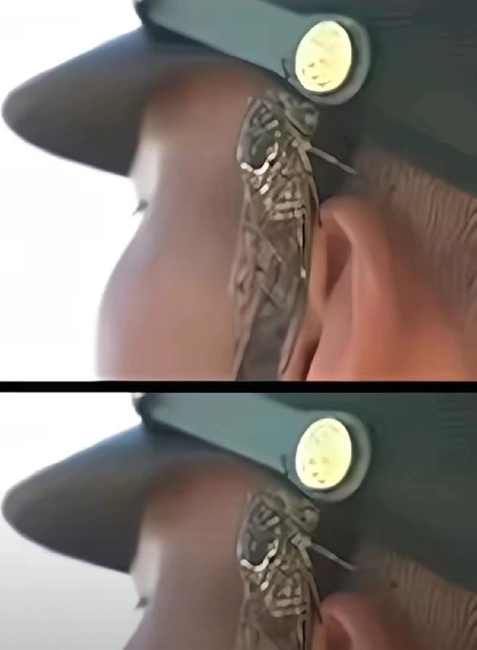 真正让人不寒而栗的他们，绝不是冷冰冰的武器就在东风-61、东风-5C引发热议时