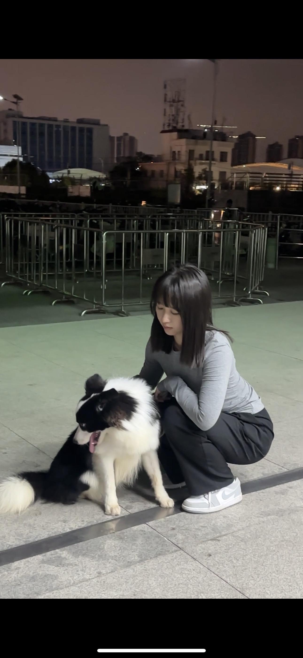 总有许多事与愿违