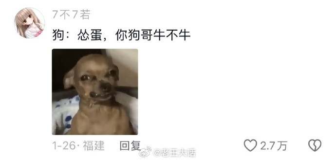 人不如狗的含金量还在不断上升