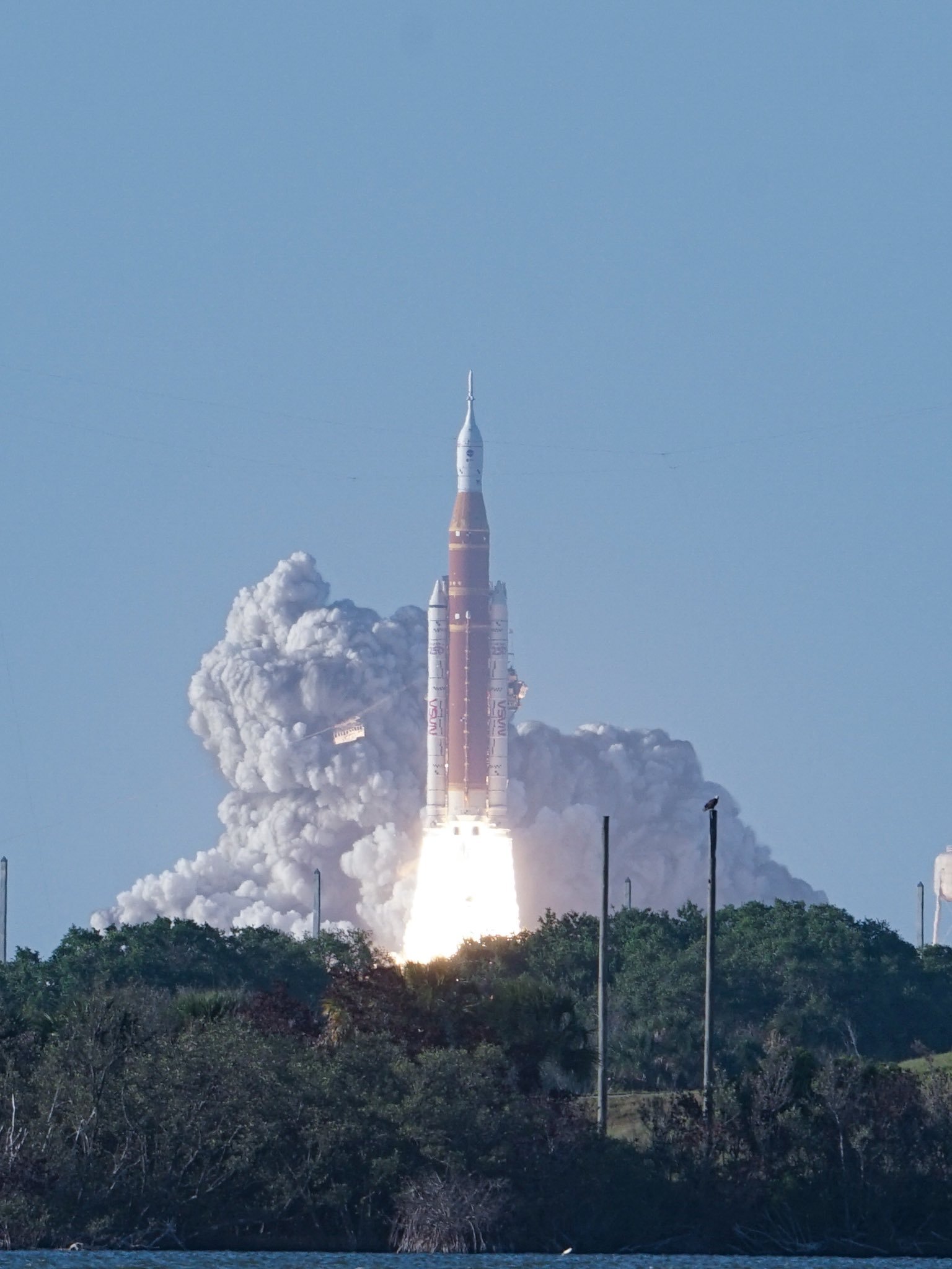 飞扬军事一只美国国鸟白头鹰在远处观看阿尔忒弥斯2号火箭升空