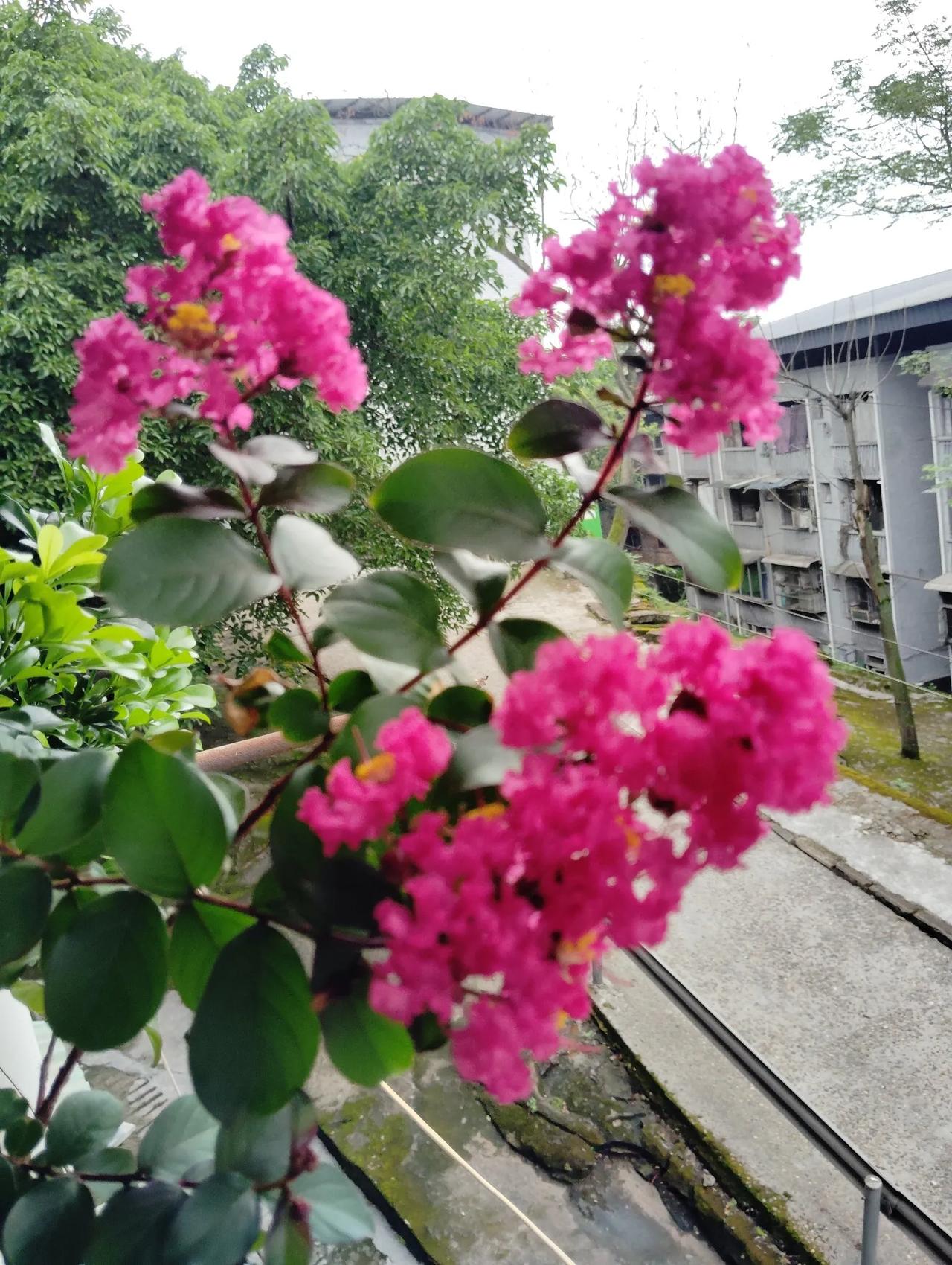 这个问题，第一，不和你同床睡找客观原因。第二，对你都是东挑西挑看不上眼。第三，你
