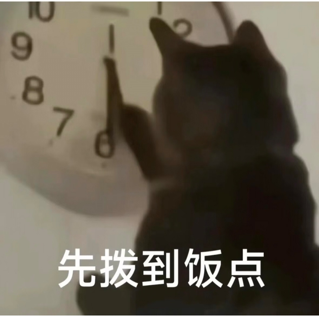 小猫表情包