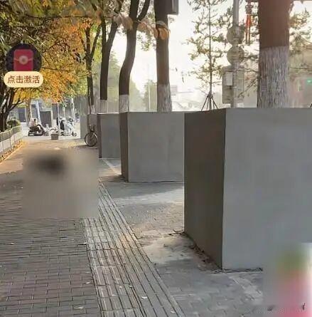 “行道树犯错了？居然也要关‘禁闭’！”西安凤城八路上这排行道树，被四四方方的水泥