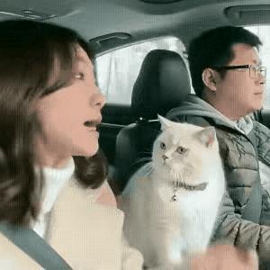 夫妻俩开车去亲戚家吃饭，老婆坐副驾，就因为老公变道慢了点，当场开启碎碎念模式。从