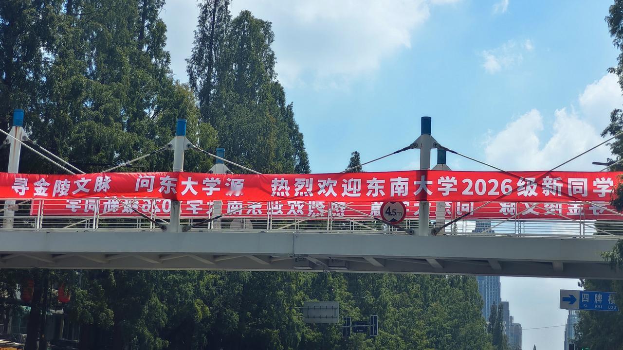 《今天，是谁将南京四牌楼，打扮得像过节一般?》今天，是谁把南京四牌楼