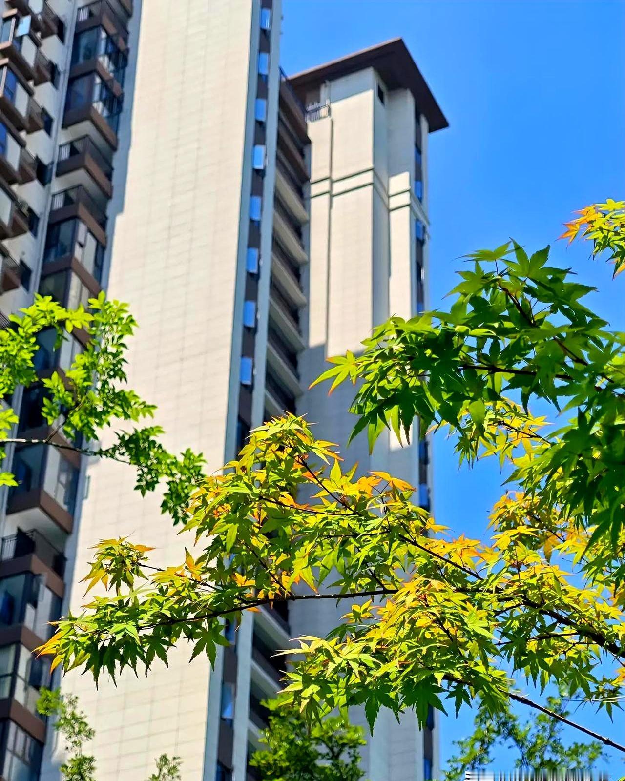 小区物业这波操作，真把人看懵了。有人年年按时交费，一分钱没欠，结果啥优惠都没有