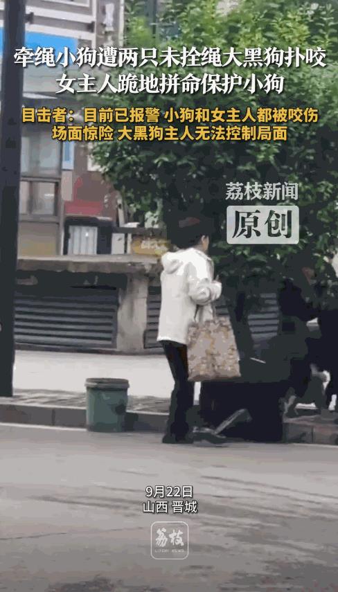 必须严惩！9月22日，山西晋城，一女子牵着小狗在小区内散步，不料，2只未拴绳的大