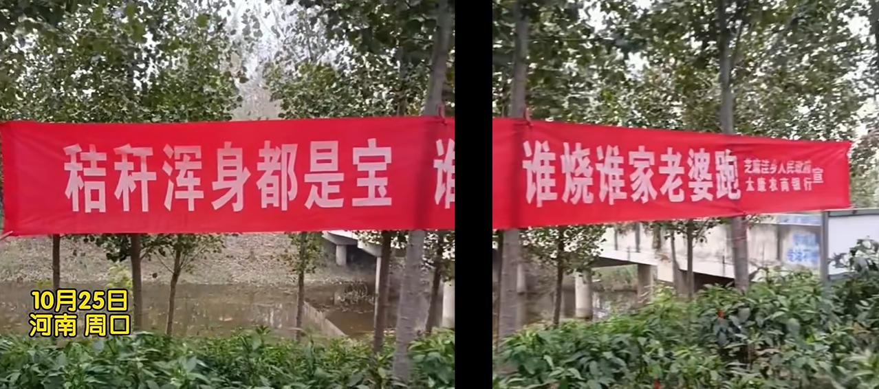河南周口再次出圈?即使为了环保、即使为了押韵,作为官方对外的宣传品,也不能用这
