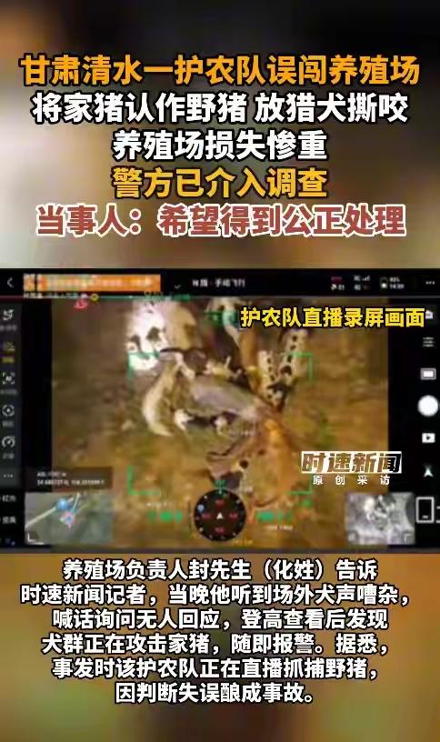 日前，甘肃省天水市清水县白沙镇一养殖场遭受意外损失。当地一支护农队晚上抓野猪时，