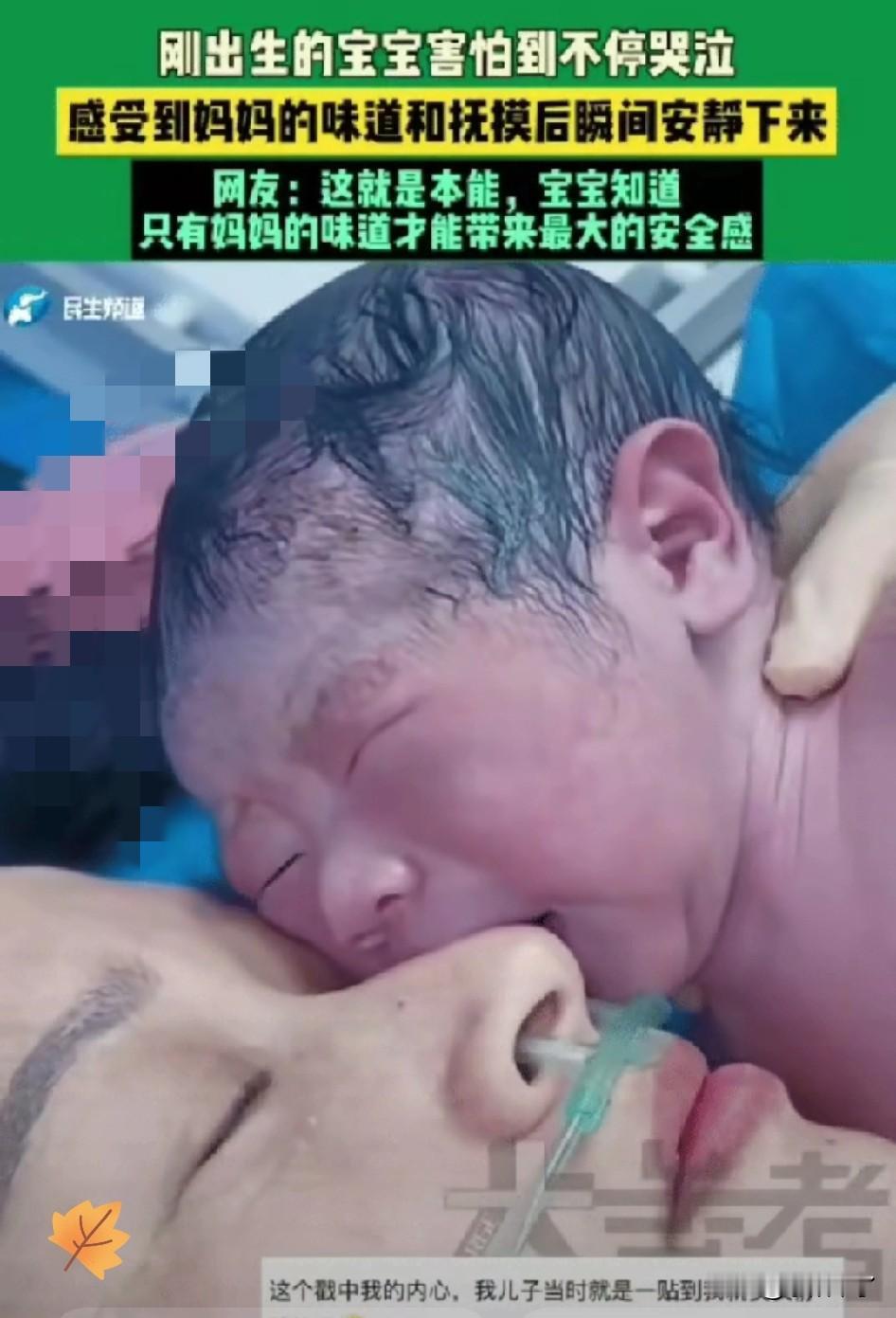 “解释不清了！”山东，产房里刚出生的宝宝哭得撕心裂肺，怎么哄都没用，不料医生将宝