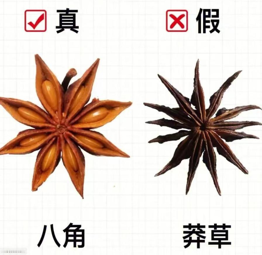 “孩子因为好奇，救了一家人！”浙江，女子炖肉时放了八角调香，旁边的儿子好奇地问