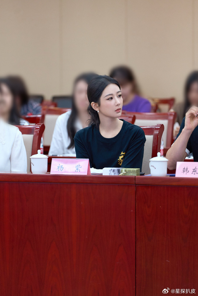 杨紫家业座谈会发言稿演员杨紫一直在路上杨紫家业座谈会发言稿：李祯做的第一块墨叫做
