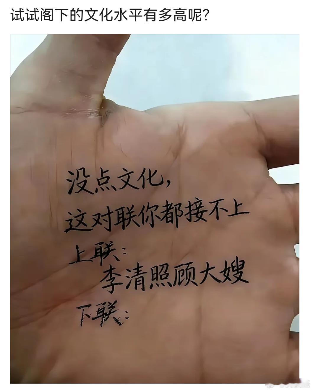 试问阁下的文采如何？没点文化，这对联你都接不上。上联：李清照顾大嫂下联：____